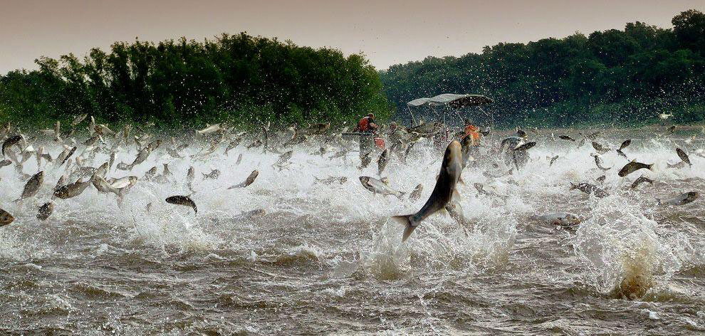A río revuelto, ganancia de pescadores